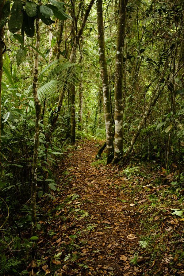 La Anita Rain Forest Colonia Dos Ríos Exterior foto