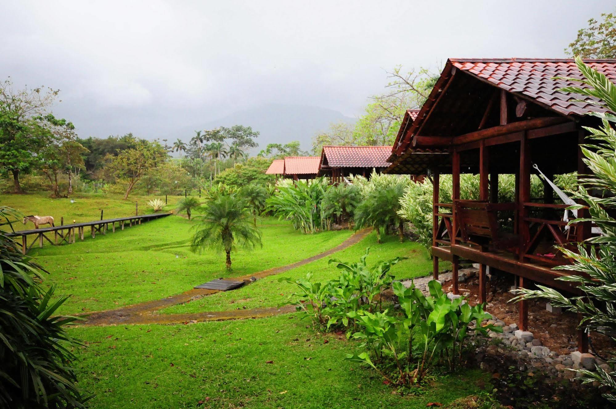 La Anita Rain Forest Colonia Dos Ríos Exterior foto